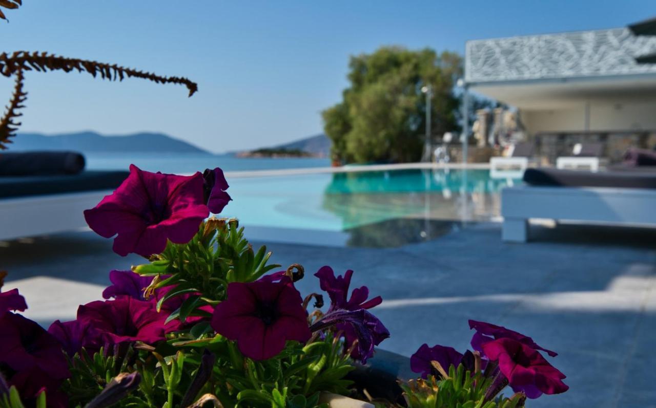 Dardiza Boutique Hotel エルミオニ エクステリア 写真